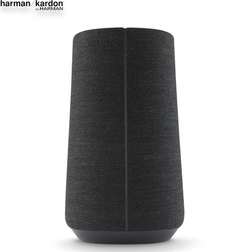 Loa Harman Kardon Citation 100 11